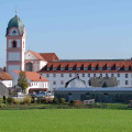 Rohr