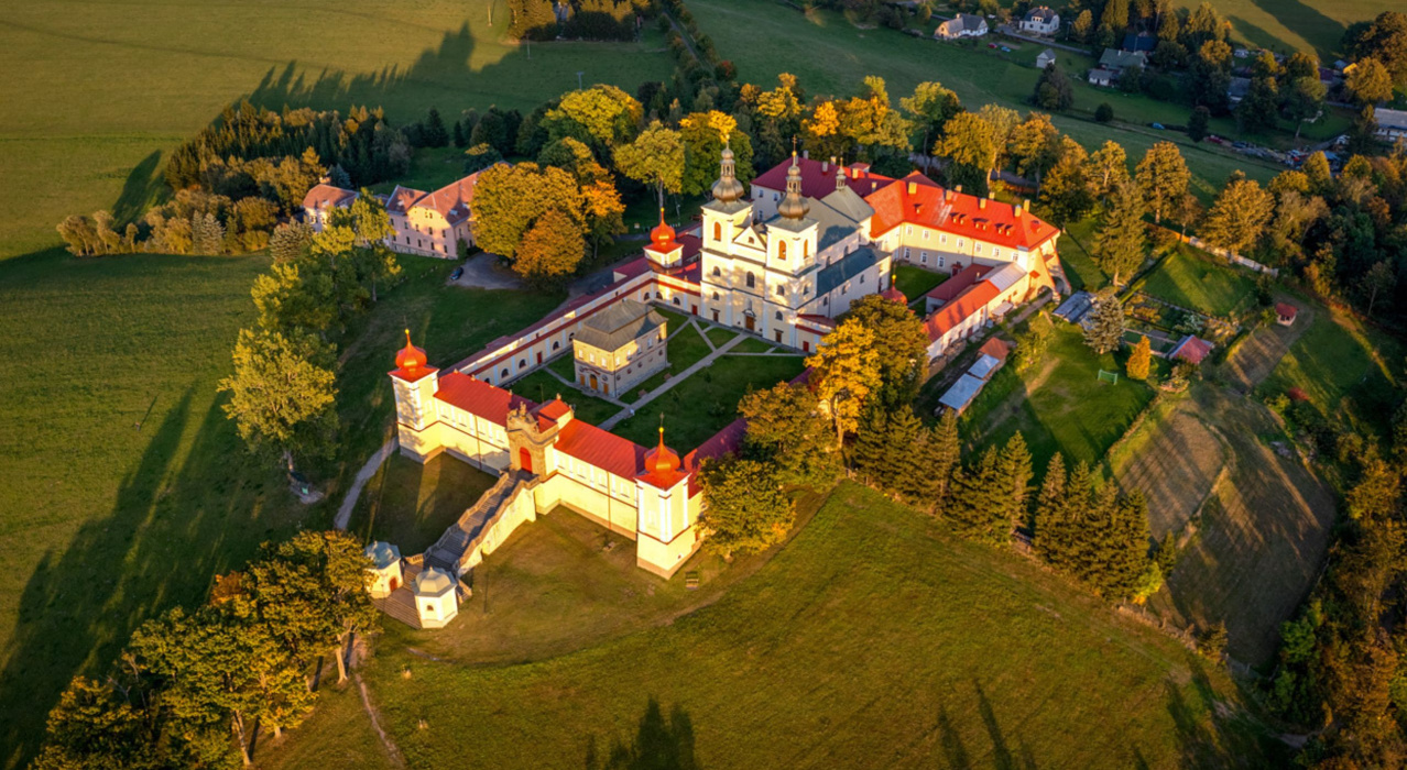 Králíky