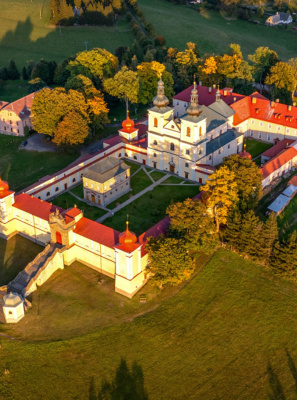 Králíky